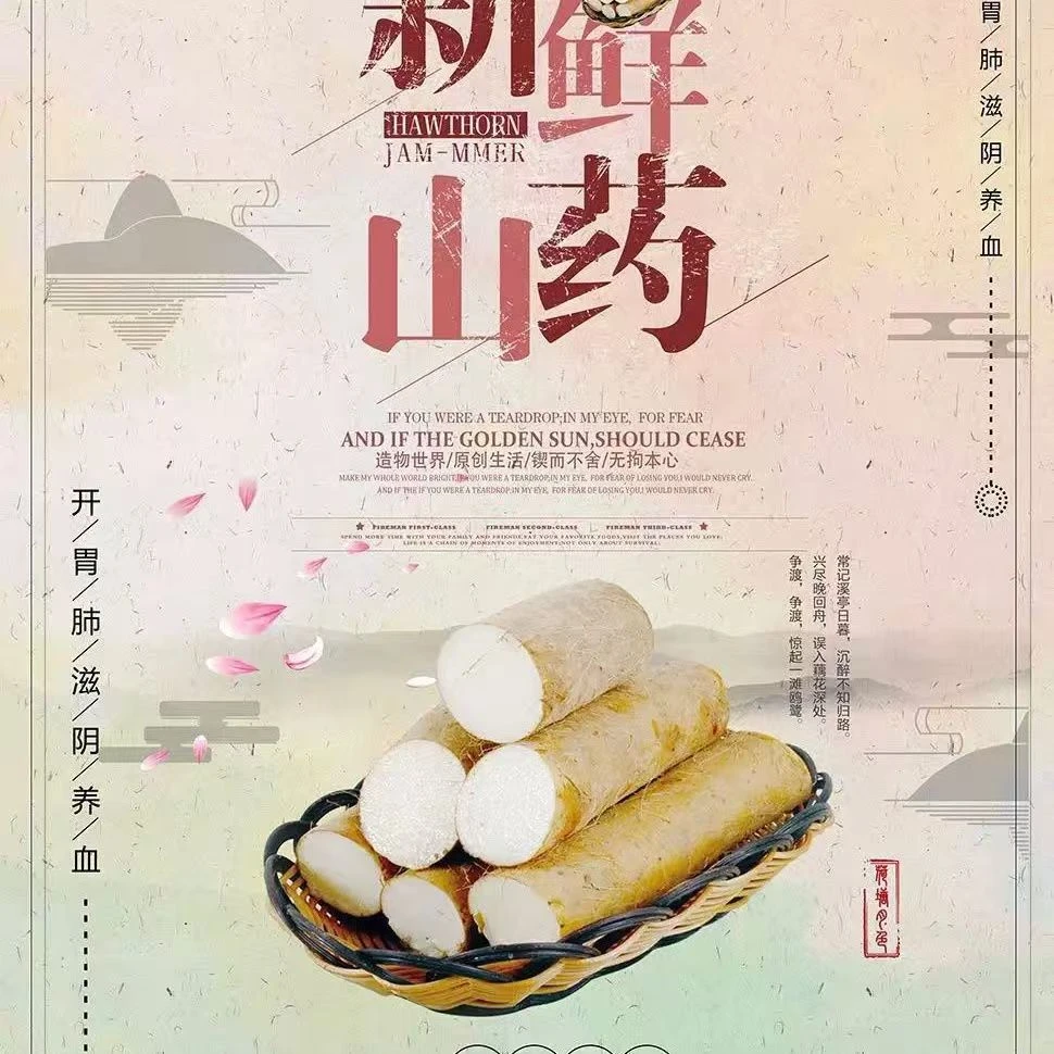 河北正宗小白嘴山药甄选大果长【50-60公分】重【5斤装】滋补佳品