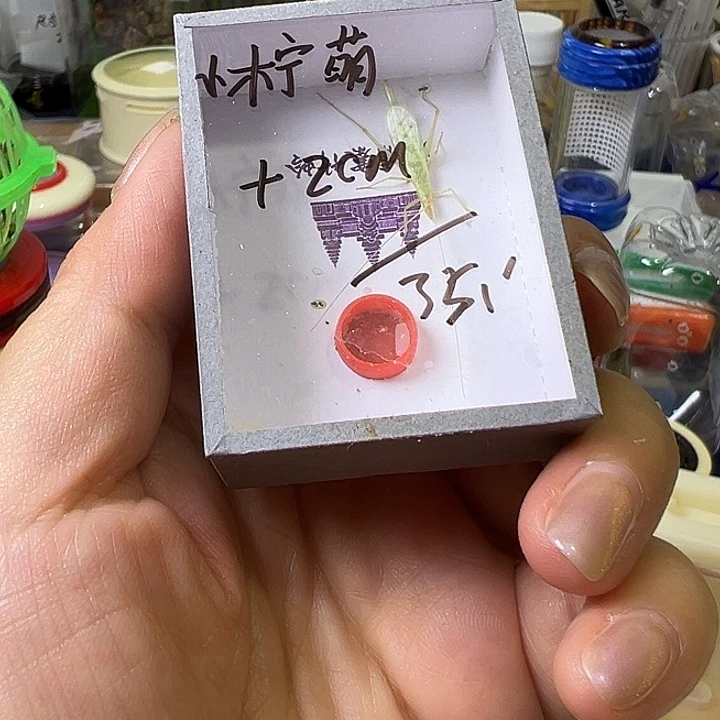 小***萌哈哈哈哈哈哈哈哈哈哈