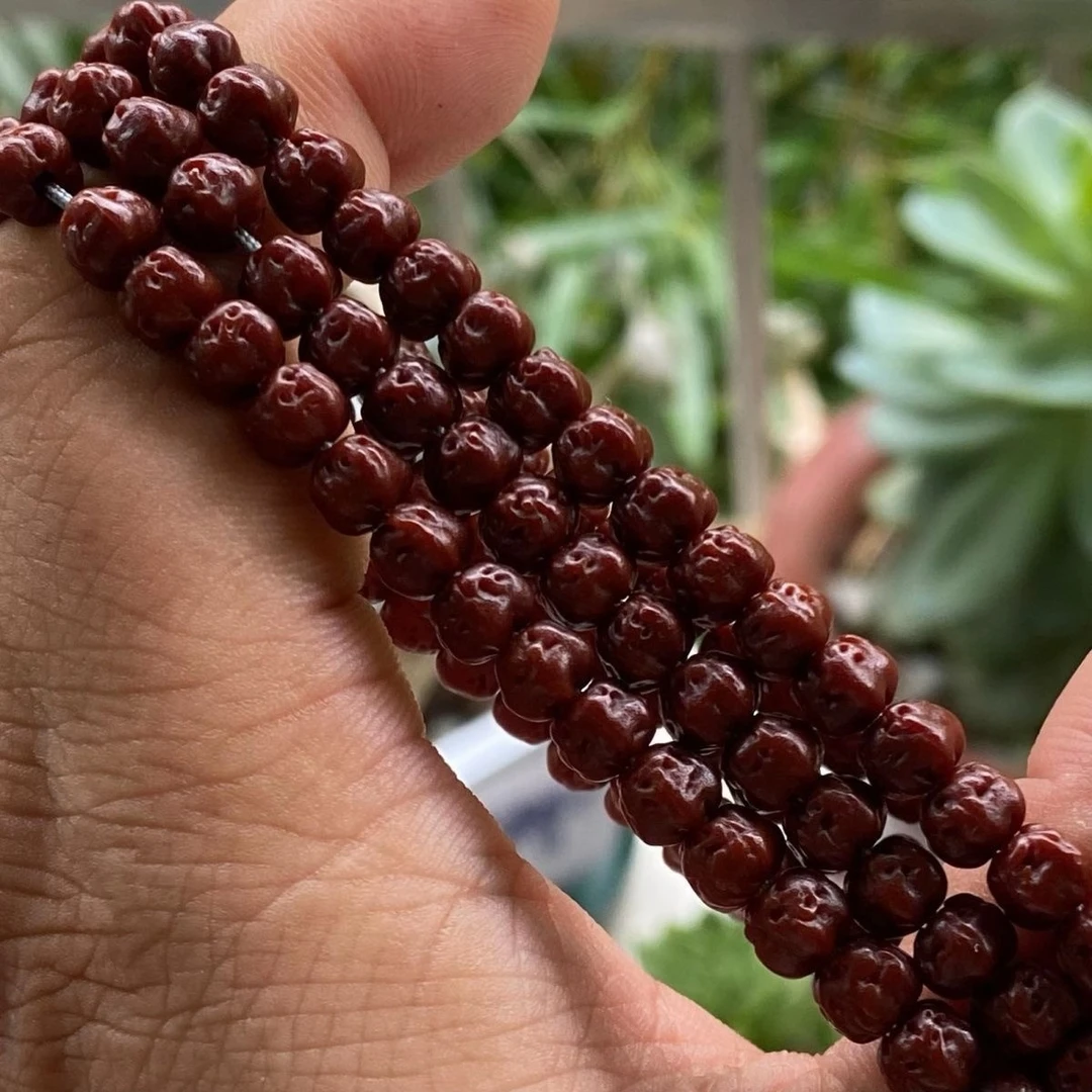 【新露家出品】天然矮桩小包子无滚筒泡药五爪金龙佛手小金刚菩提