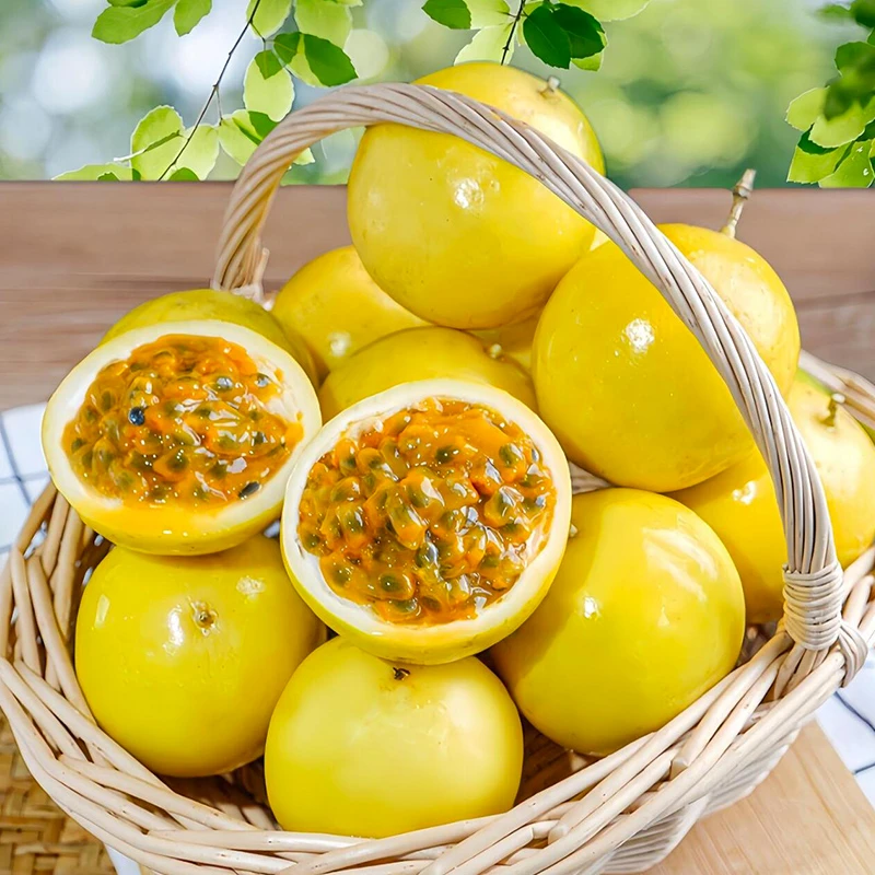 y1广西正宗钦蜜9号百香果香甜饱满多汁营养丰富孕妈妈优选维c水果