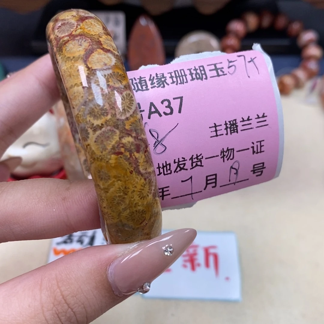 硅化珊瑚（珊瑚玉）A37未镶嵌N****9