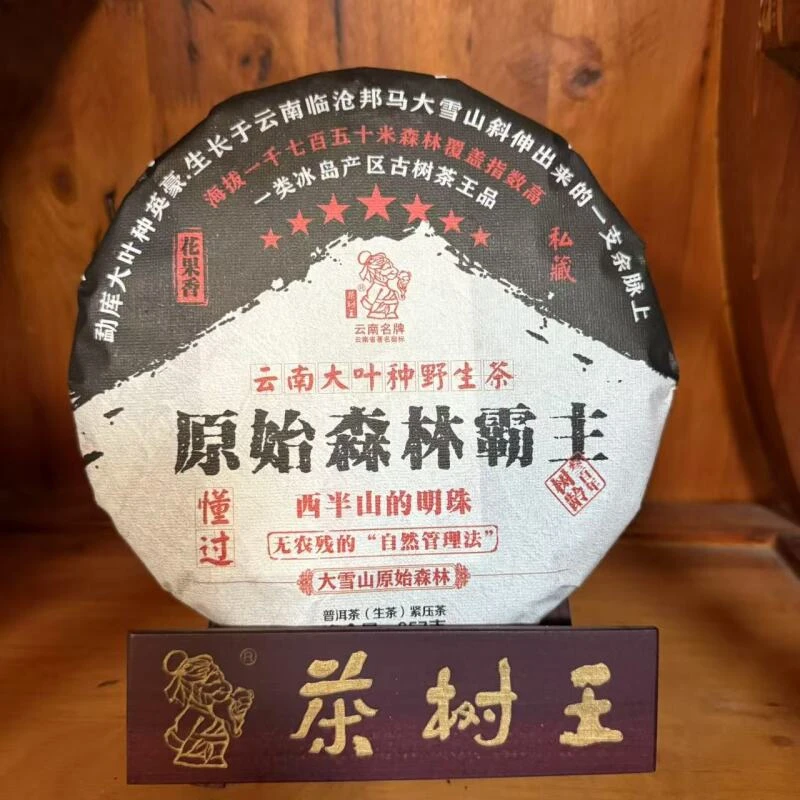 茶树王 2019年 原始森林霸主·懂过  普洱茶（生茶）一饼357g