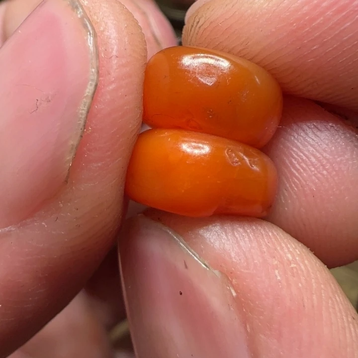 我们都会在这里等