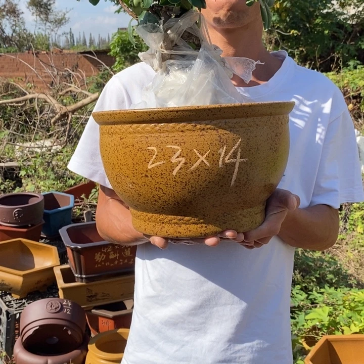 紫砂花盆没有人会觉得自己特价