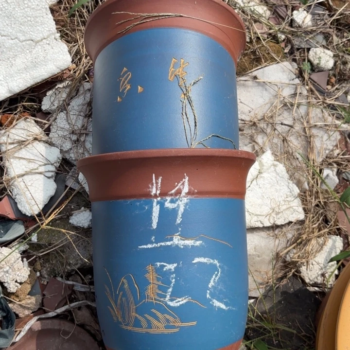 花盆紫砂紫砂的花