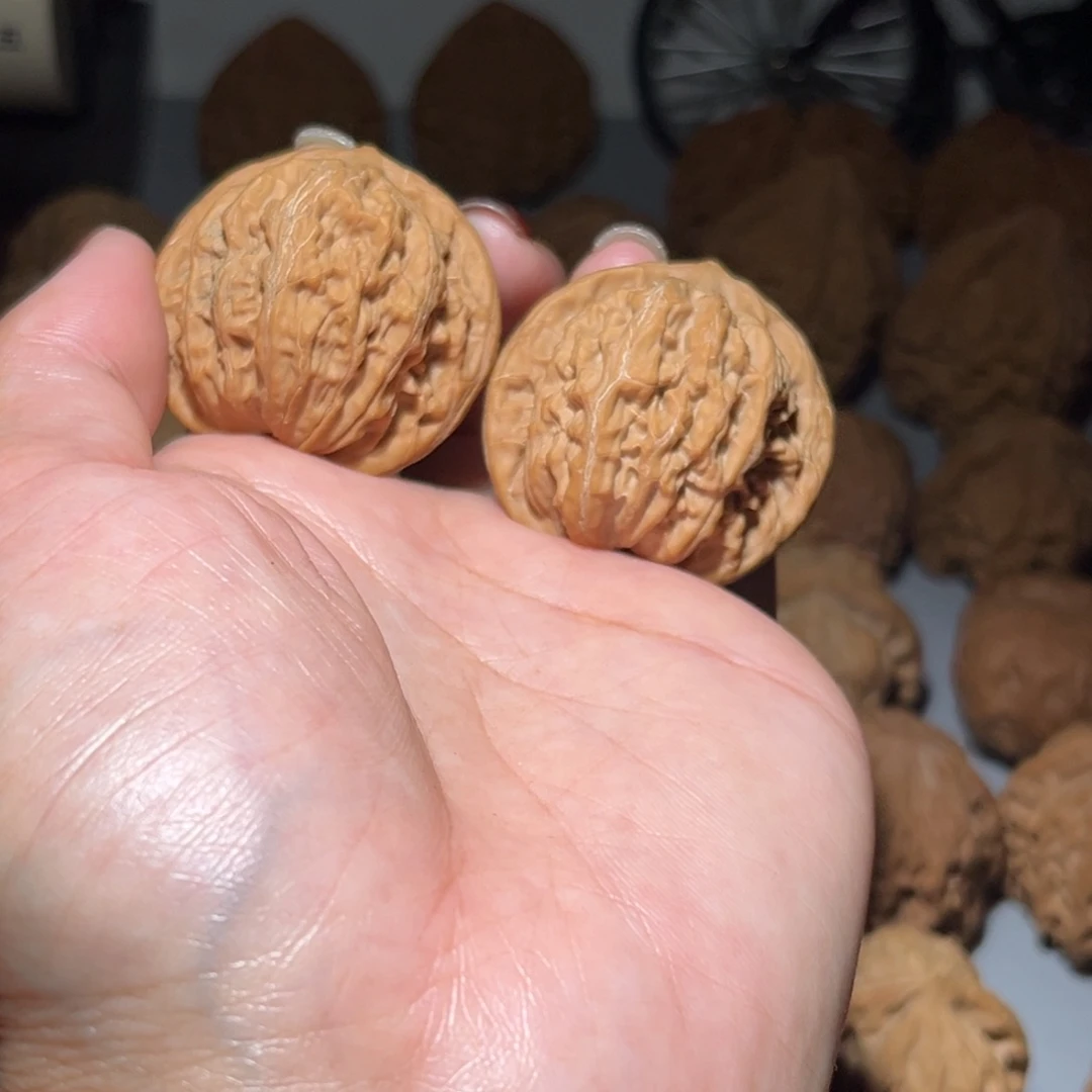 木质类赵闷38全品