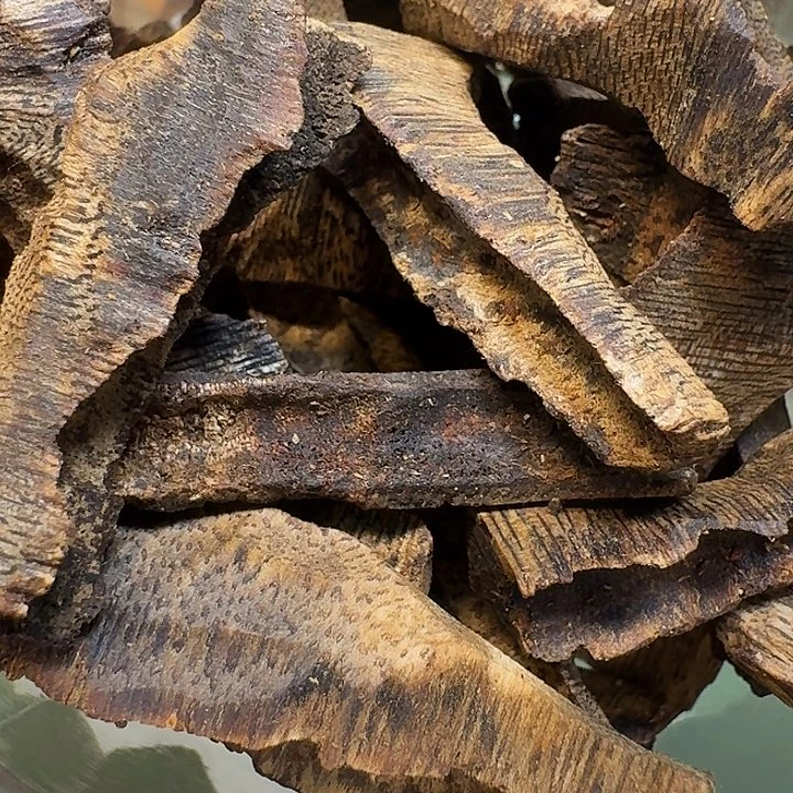 用***6沉香碎屑沉香海南高端蓝香壳子虫漏老料51壳