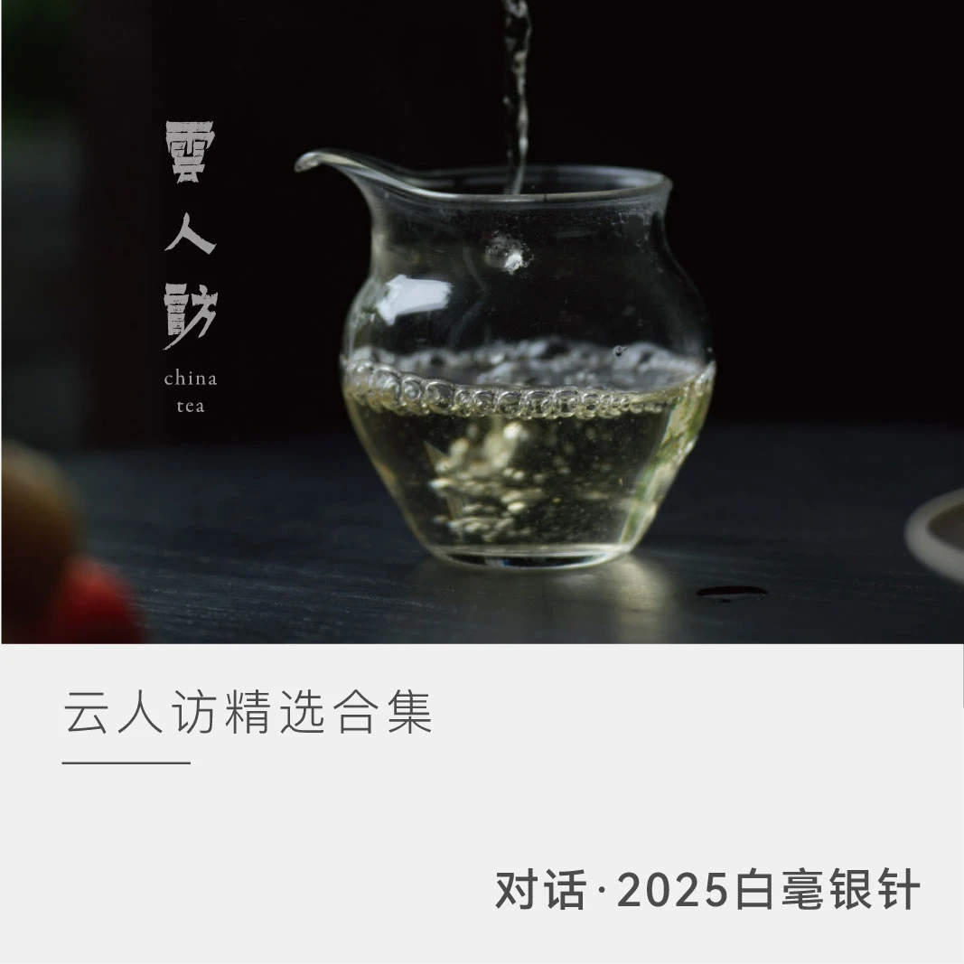【对话·2025特级白毫银针合集】福鼎白茶 特级白毫银针  云人访