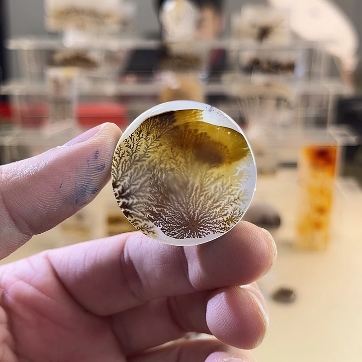 未镶嵌吊坠(不含链)玛瑙/玉髓