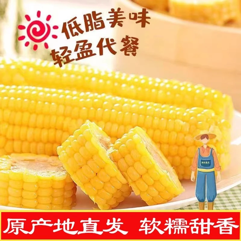 东北鲜食玉米【黄糯】产地黑龙江北纬47°【12根包邮】