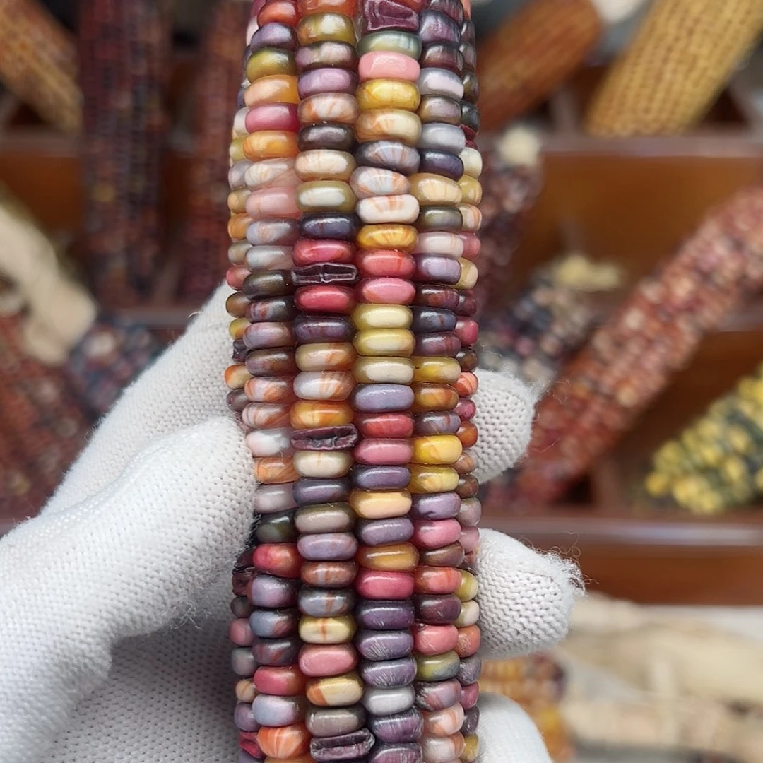 欧***觉文玩玉米毛料精品