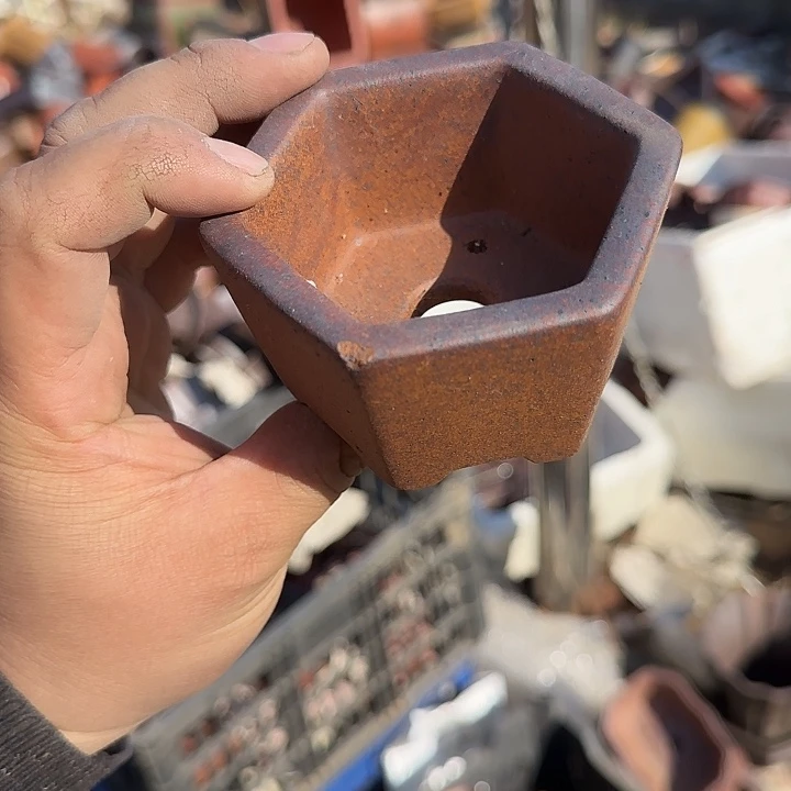 在亿年以前我们是没有的东西吧如果没有就别想那么早