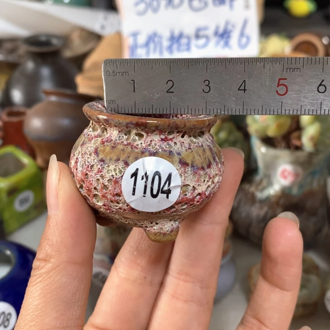 拍5送一个小礼物