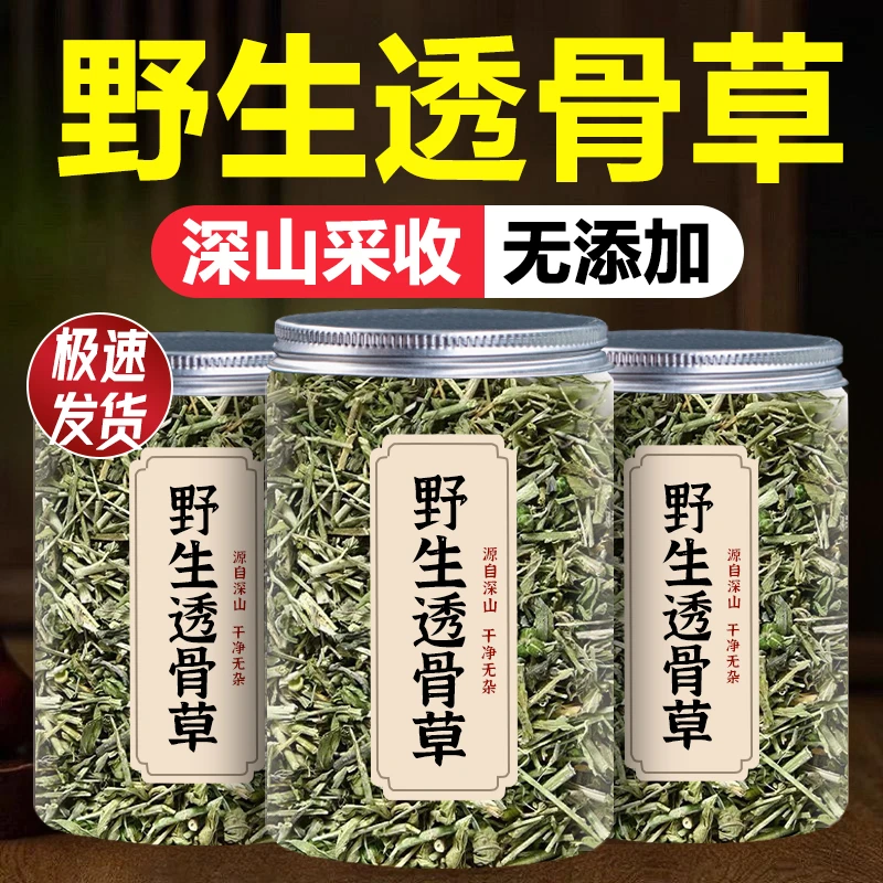 透骨草中药材新鲜珍珠透骨草野生泡脚可搭伸筋草泡水茶粉