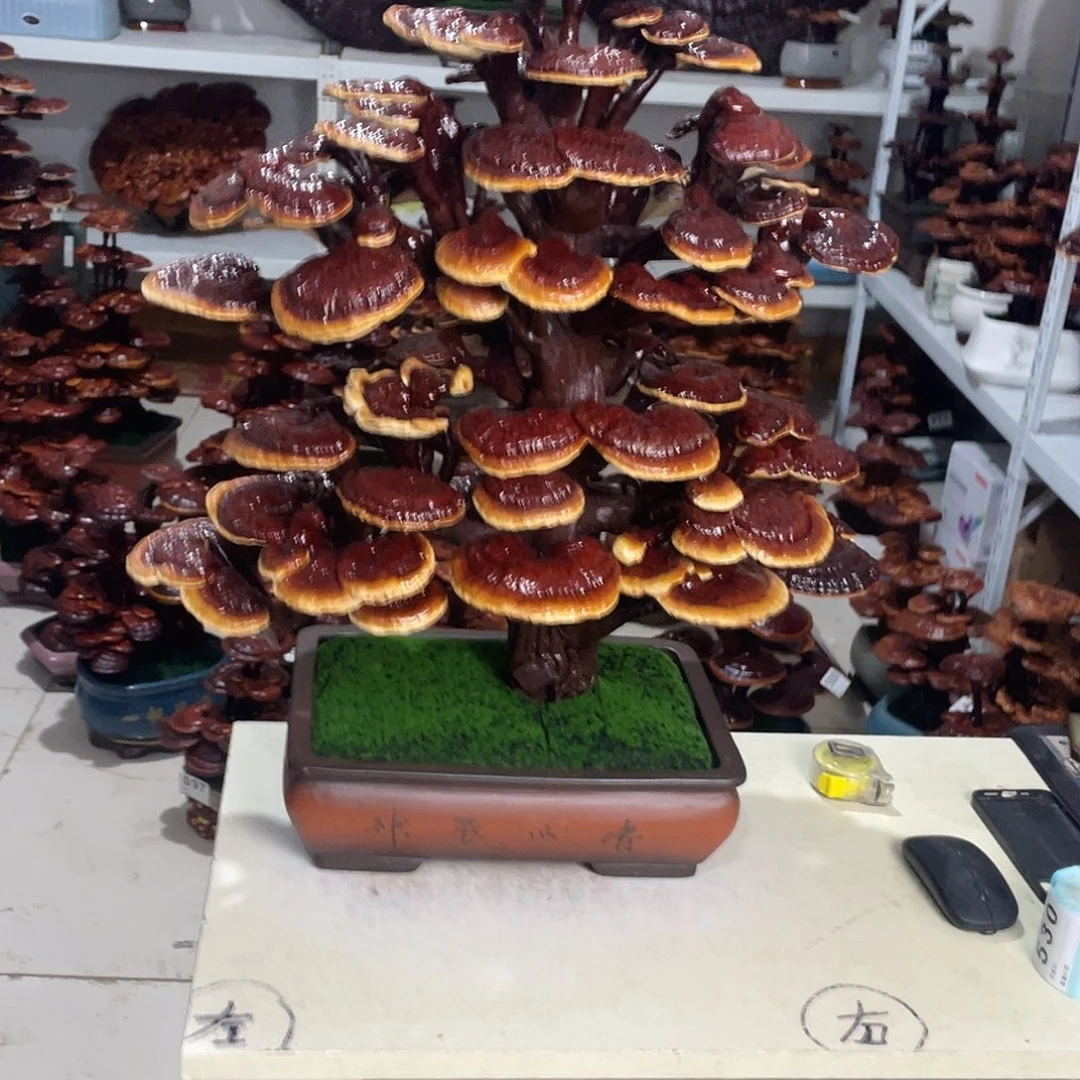 全部花朵8888888888888