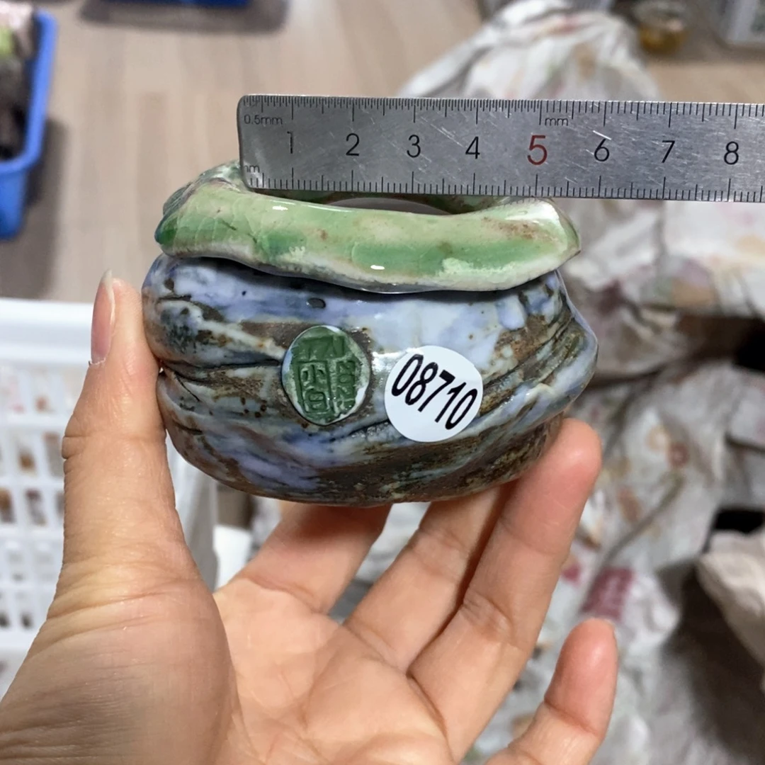 花盆拍3送一个小礼物