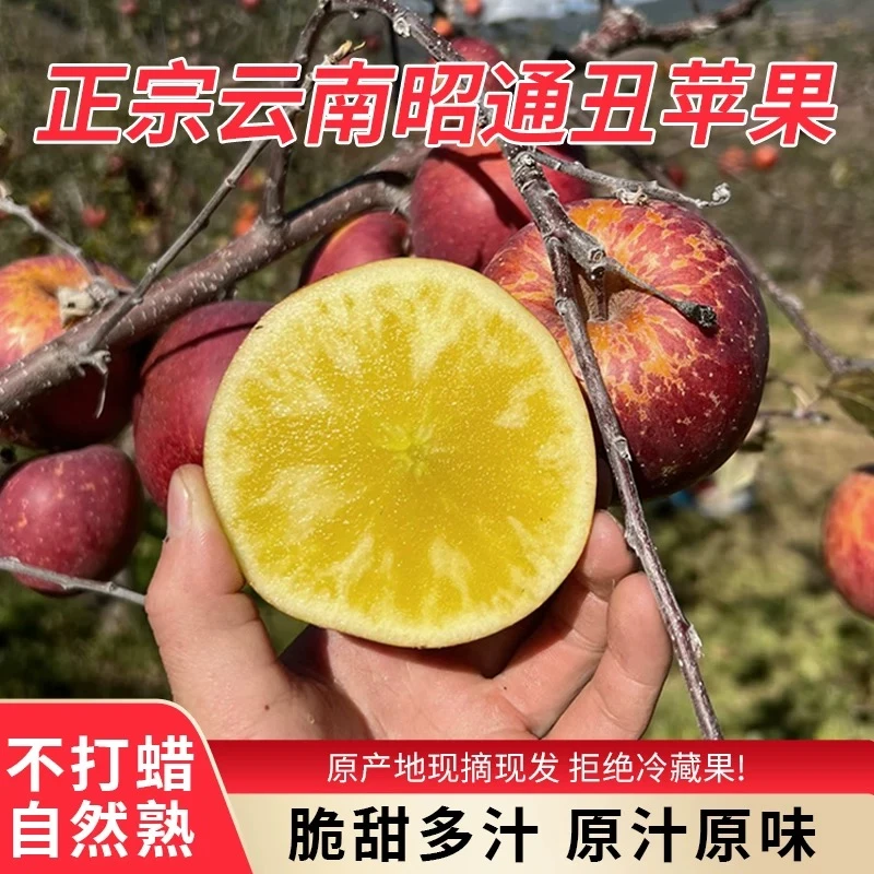 云南昭通冰糖心丑苹果产地直发脆甜多汁新鲜水果整箱5/10斤包邮
