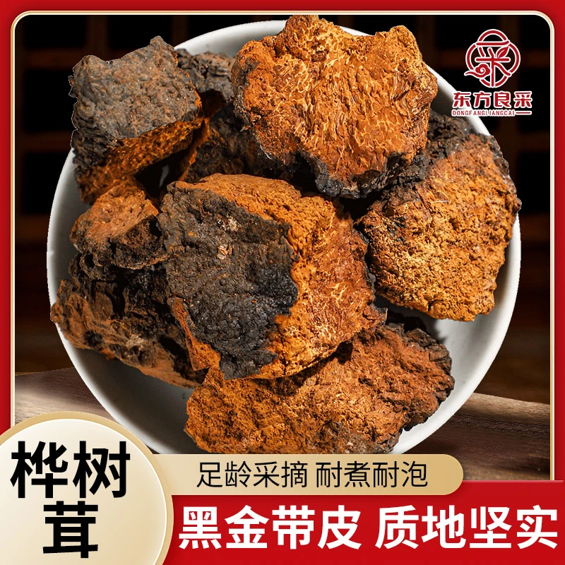 中俄边境桦树茸黑金皮块天然原切块营养浓郁煮水泡茶