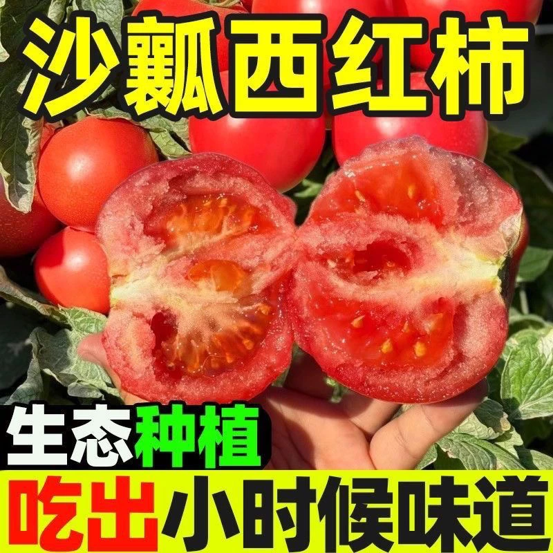 【直接吃】自种老品种西红柿河南农家新鲜自然熟柿子沙瓤番茄