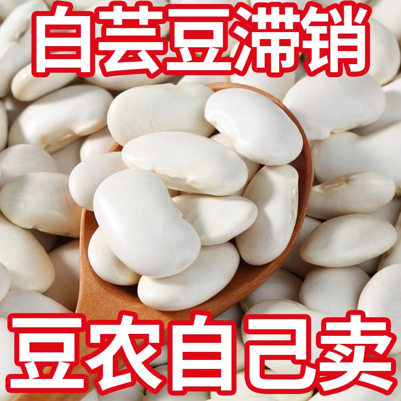 白芸豆干货大芸豆白云豆白扁豆粗粮无硫白腰豆新货芸豆大豆煮粥汤