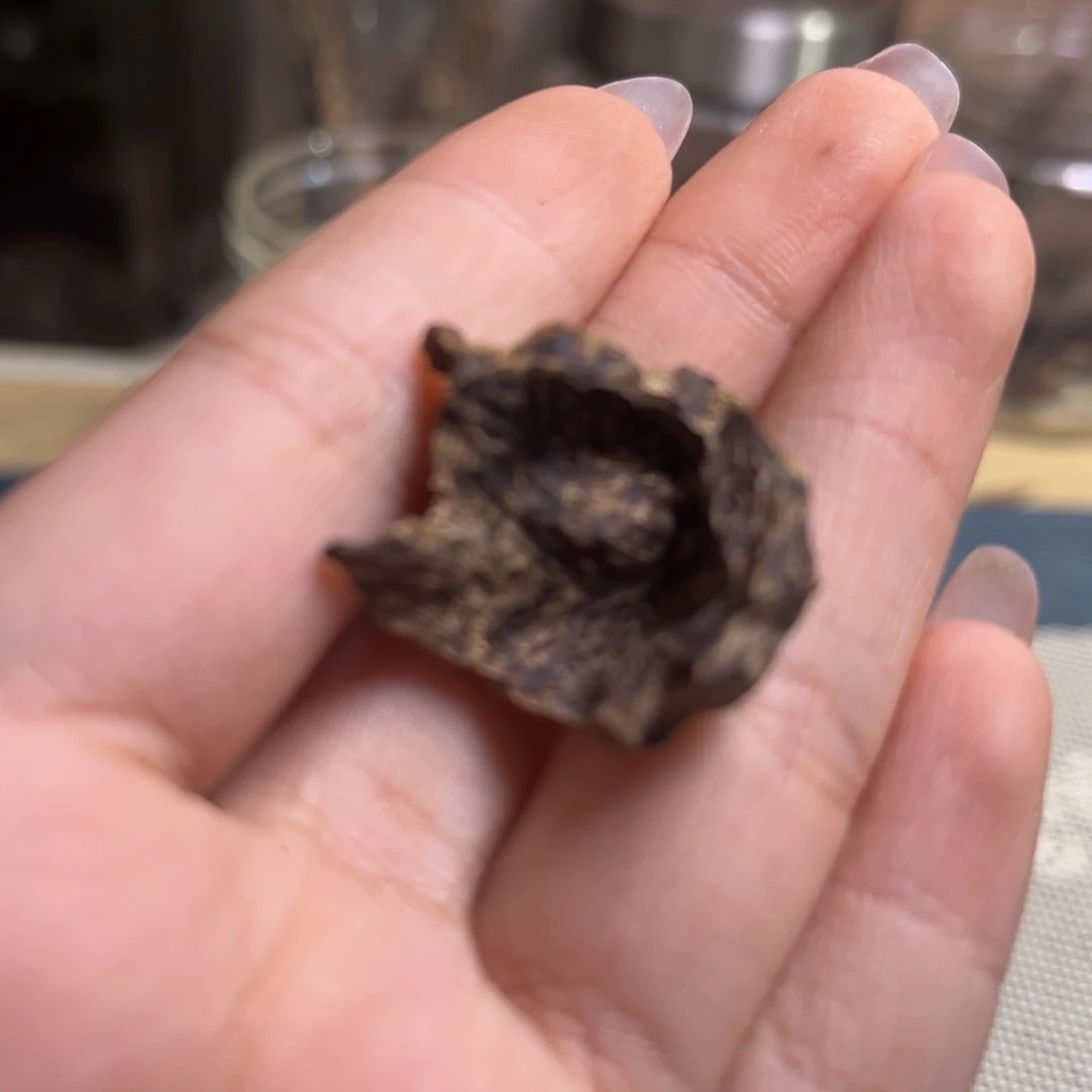 小***他沉香海南尖峰岭沉水包头1.3克