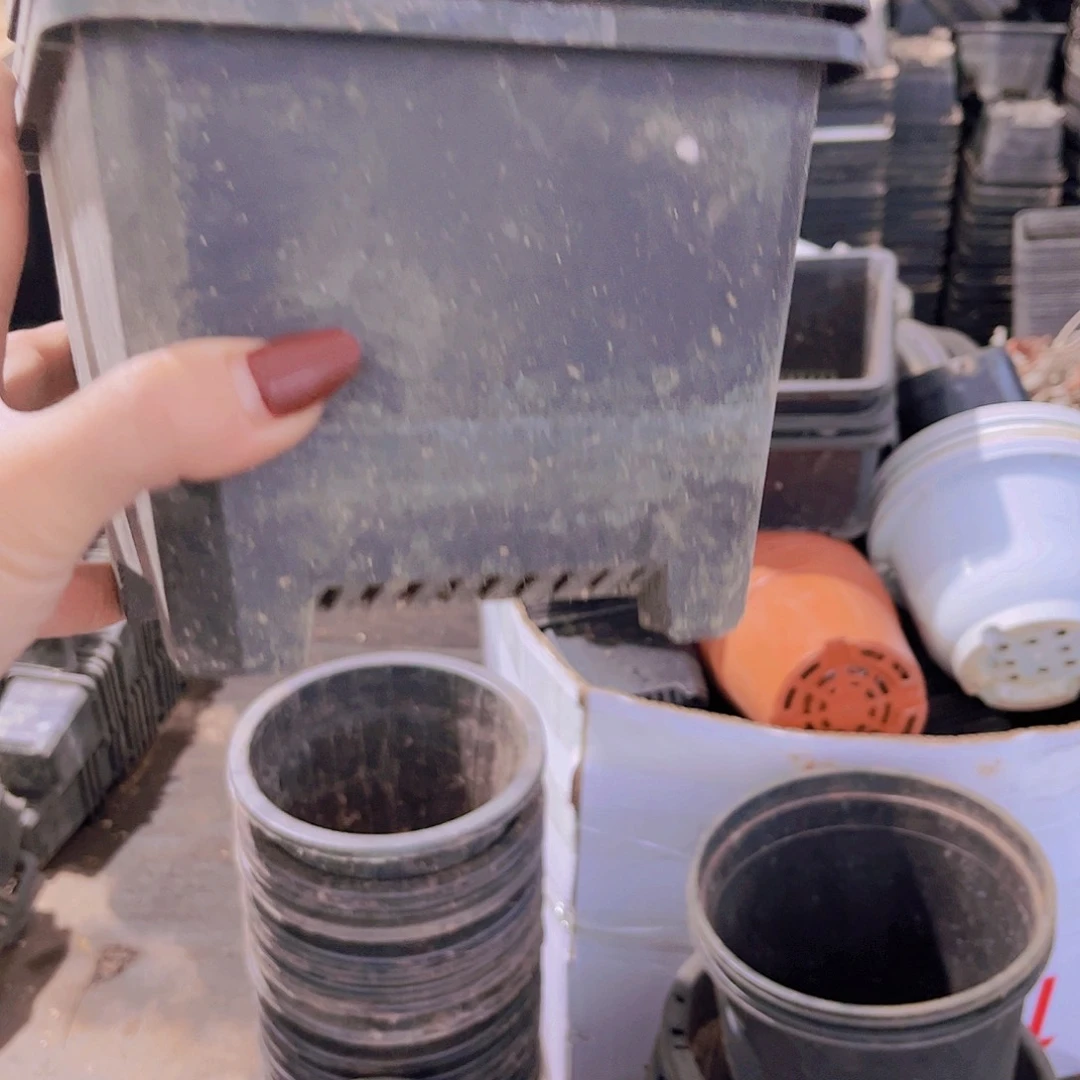 旧口径16高11黑方盆20个