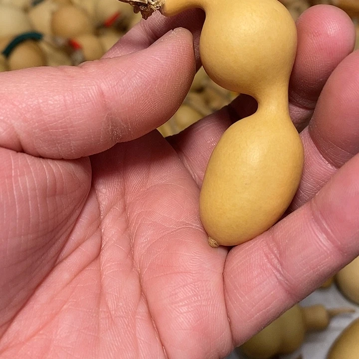 青*丘精品葫芦手把葫芦52