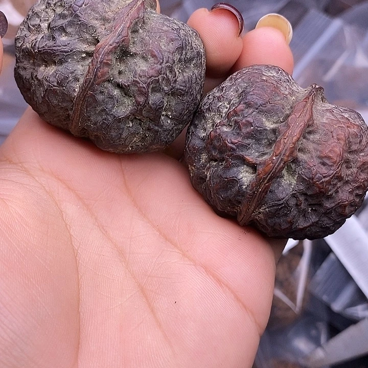 吊坠文玩核桃      14