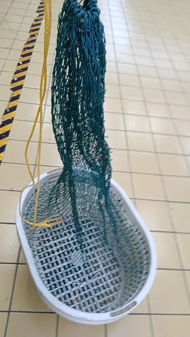 海鱼专用回鱼网蒌子