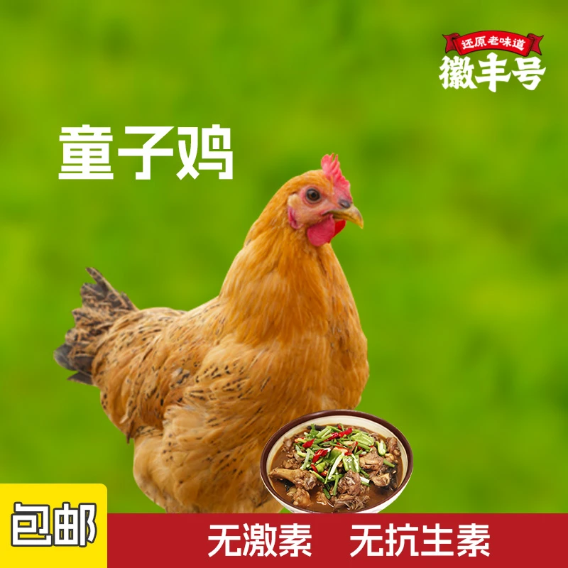 【徽丰号】谷物喂养童子鸡3只装单只净膛净重900g左右包邮