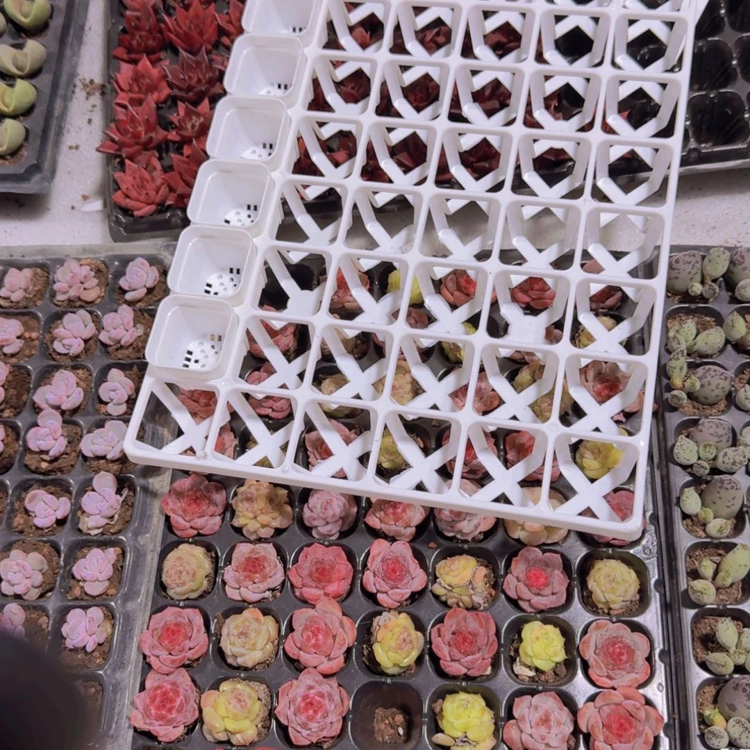 托架托架一个一个