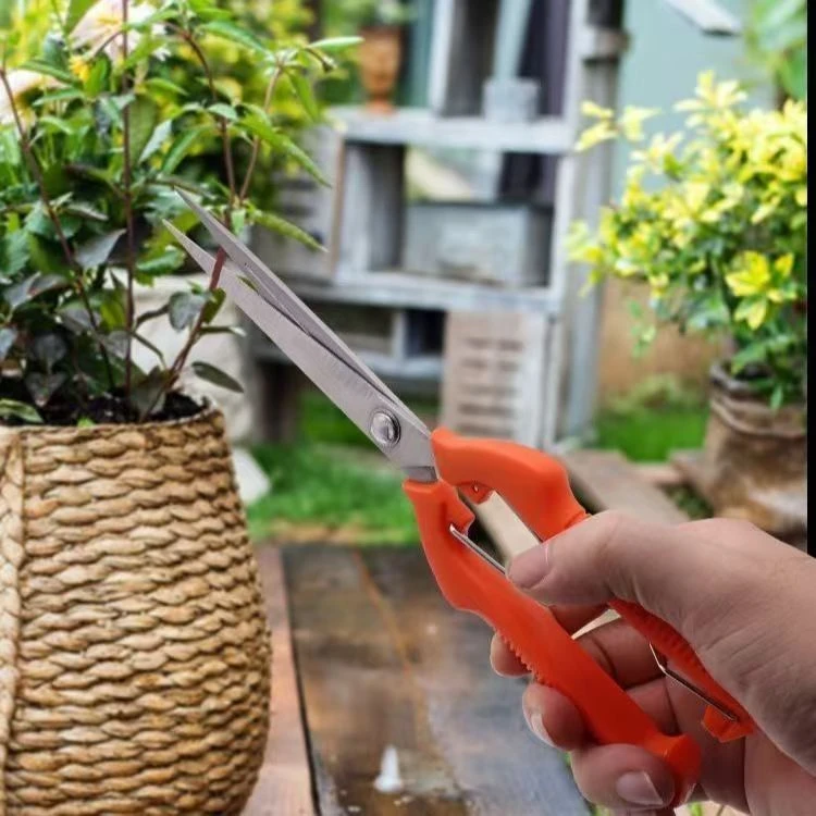 疏花加长疏果剪多功能花艺修枝修花省力加厚不锈钢剪枝家用剪刀
