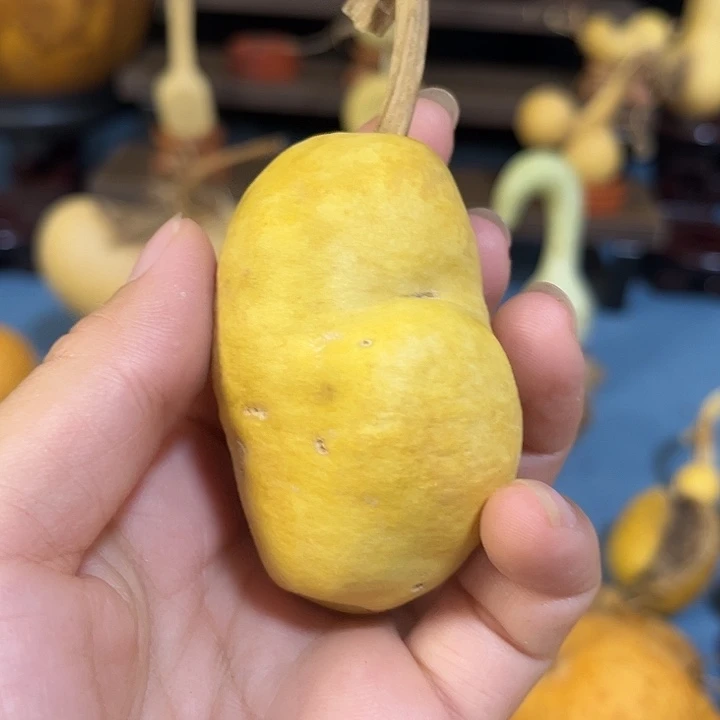 吃***碗大叶紫檀（黑酸枝木类）