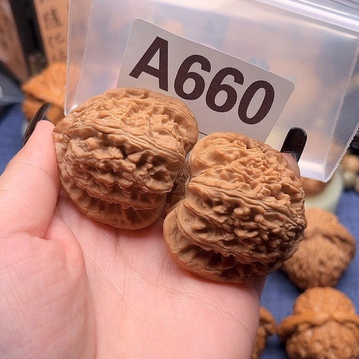 乒*迷文玩文玩文玩文玩660