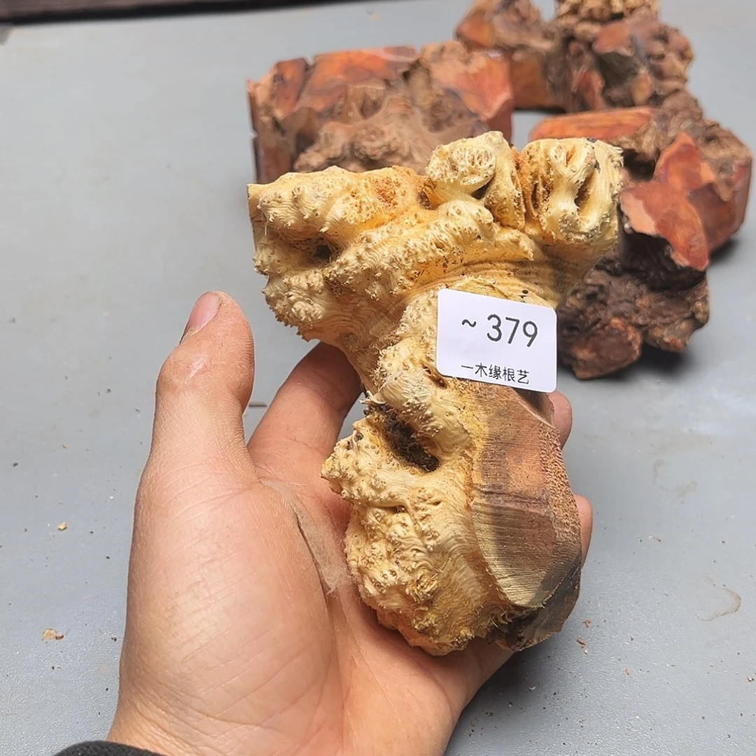 牵****无花朵0000000000379