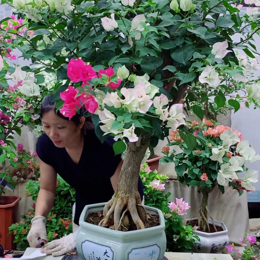 【闪购商品】完全开放