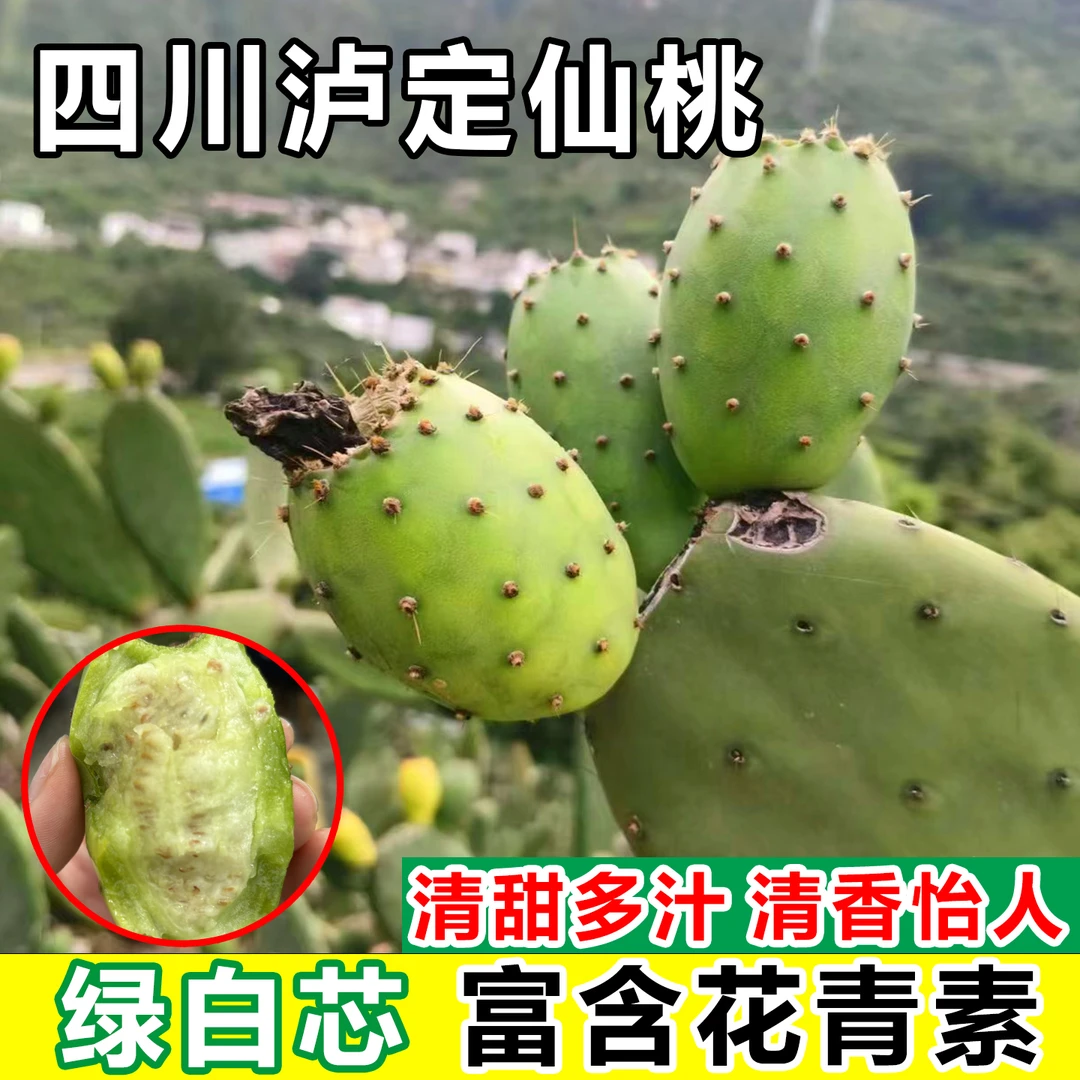四川泸定仙人掌果仙桃大山食用果肉实当季新鲜水果少见稀奇绿白芯