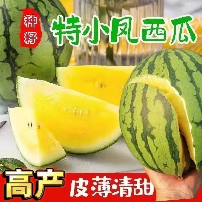 【全场满5包包邮】早熟礼品特小凤黄心瓤小西瓜种子甜王麒麟种籽春