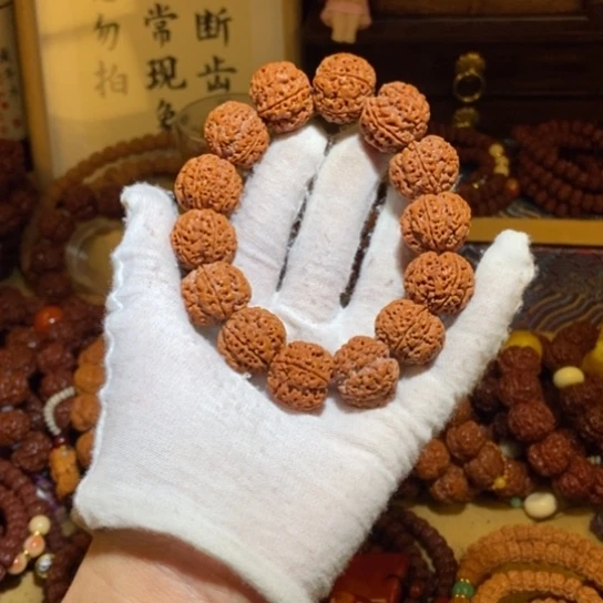 吊坠金刚菩提205原籽