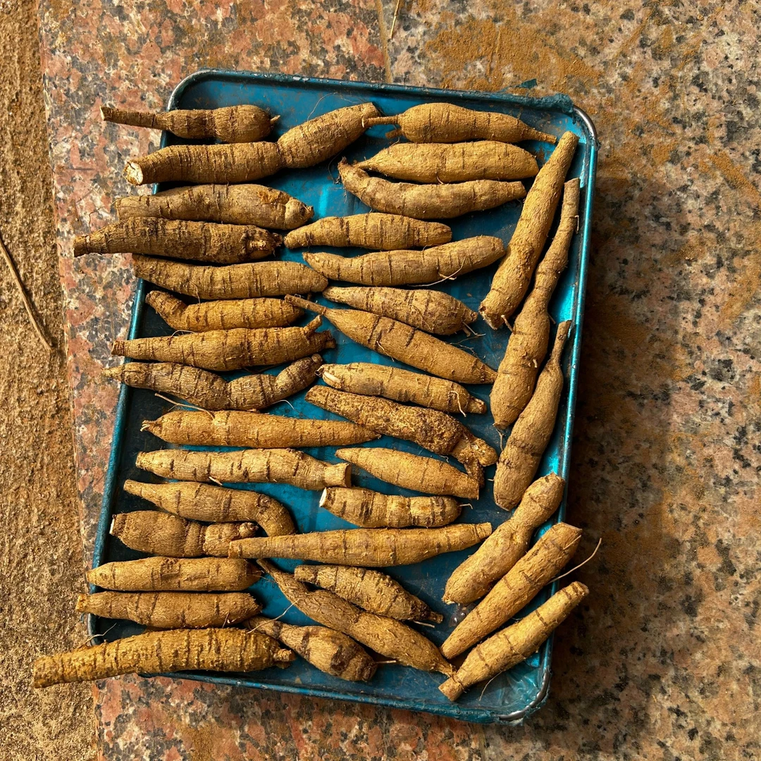 新鲜现挖小牛蛋牛大力大力薯长条粉质薯煲汤泡酒靓料