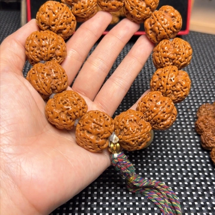 手串金刚菩提25帝王花