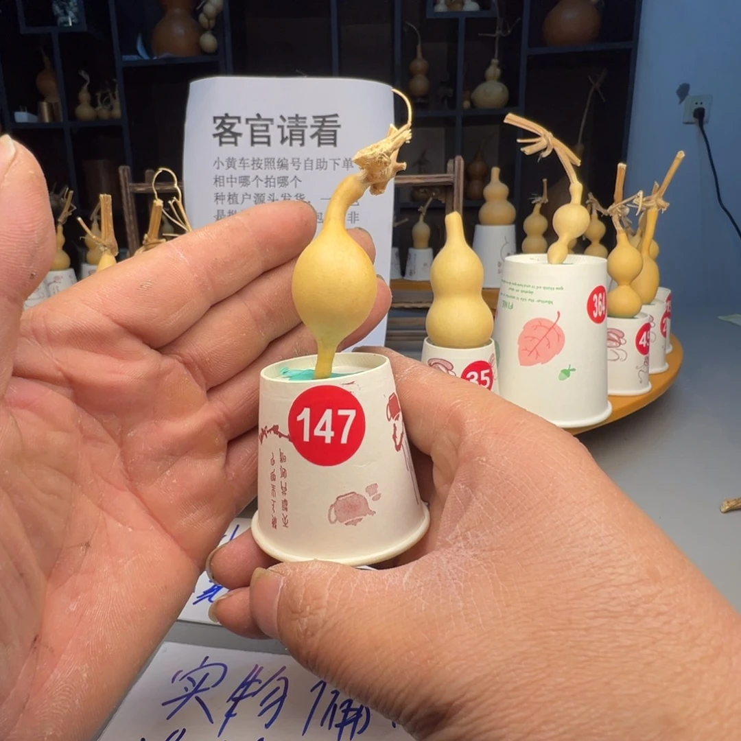 闪电购自助 下单编号147