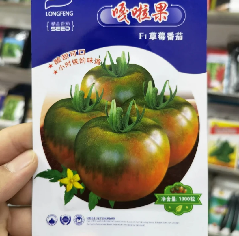 【草莓番茄种子】嘎啦果种子四季种植盆栽地栽阳台小院种植