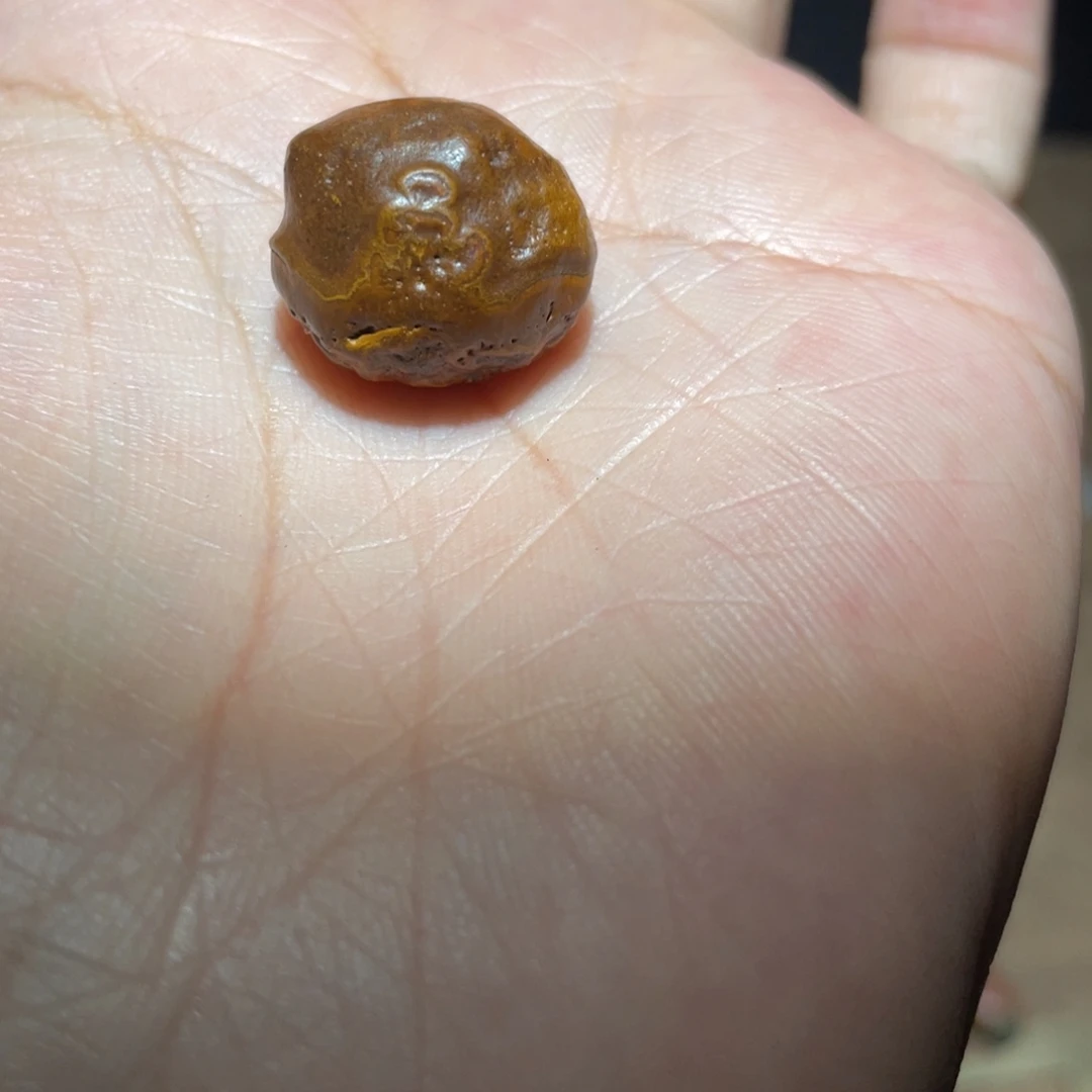 本***室珠子珠子珠子珠子珠子