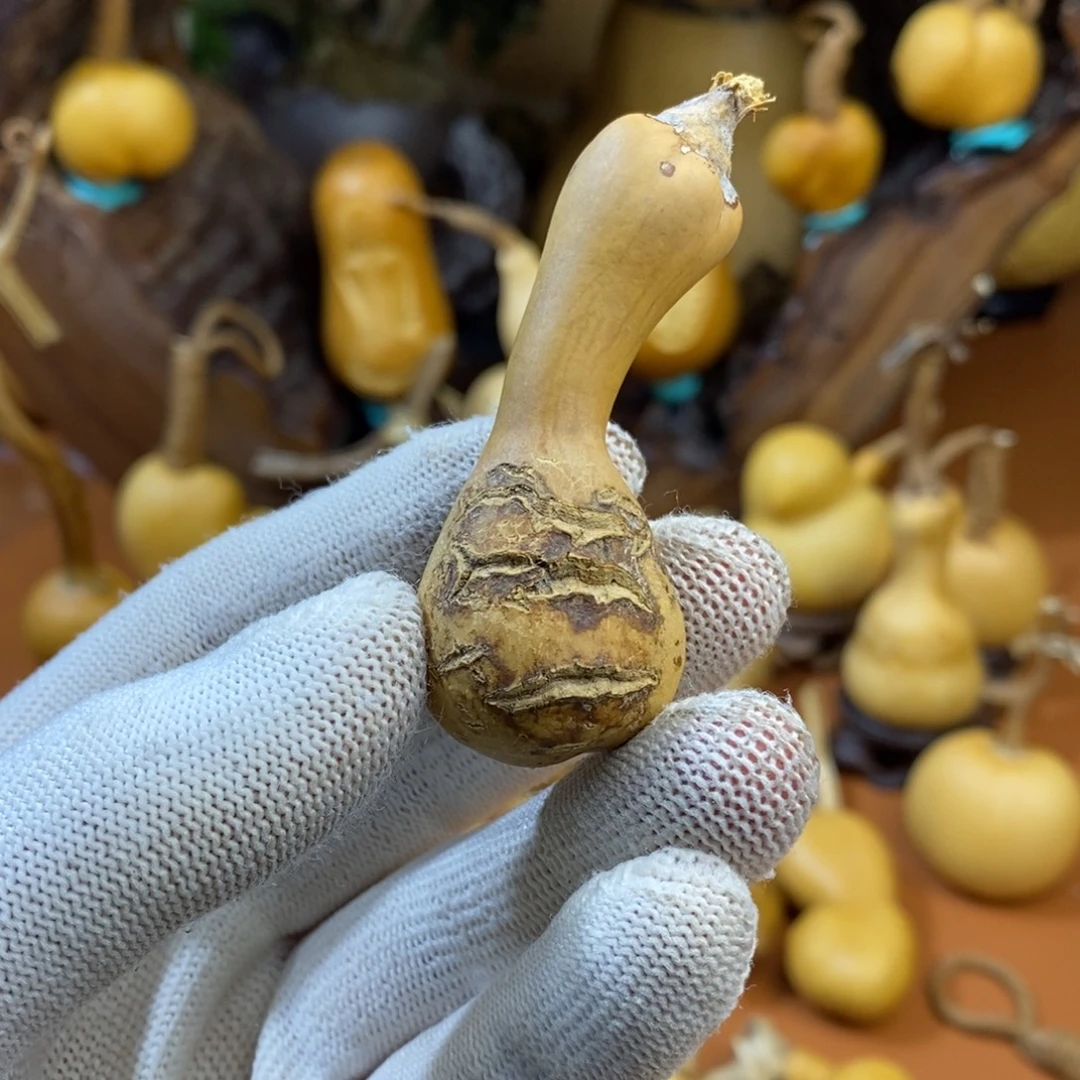 舞***亂啦啦教练咯教练咯教练咯