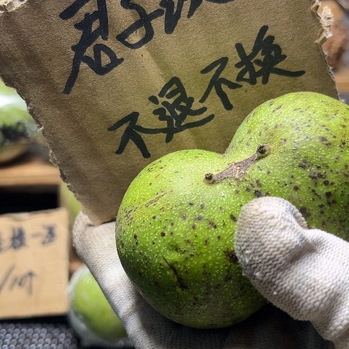 在***张白狮子福利多多哦转发关注