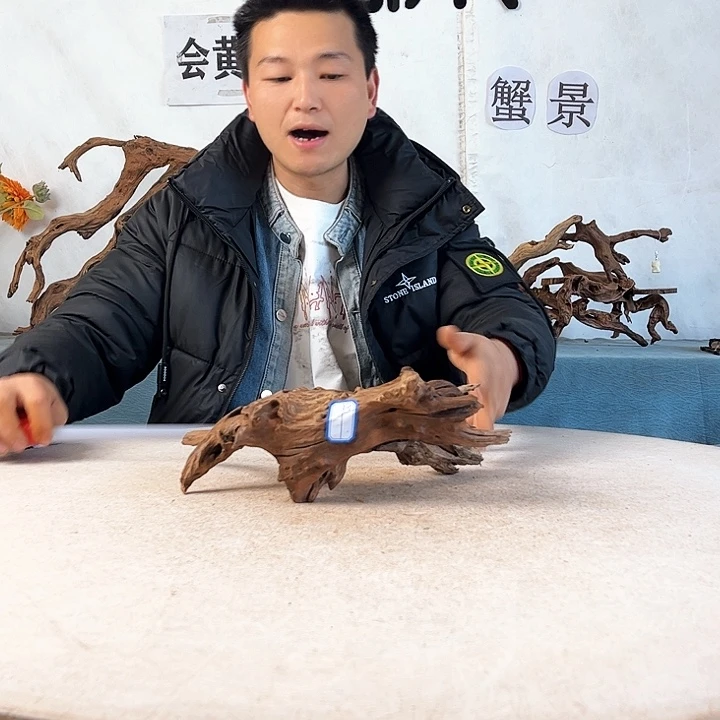 沉木造景爬宠造景