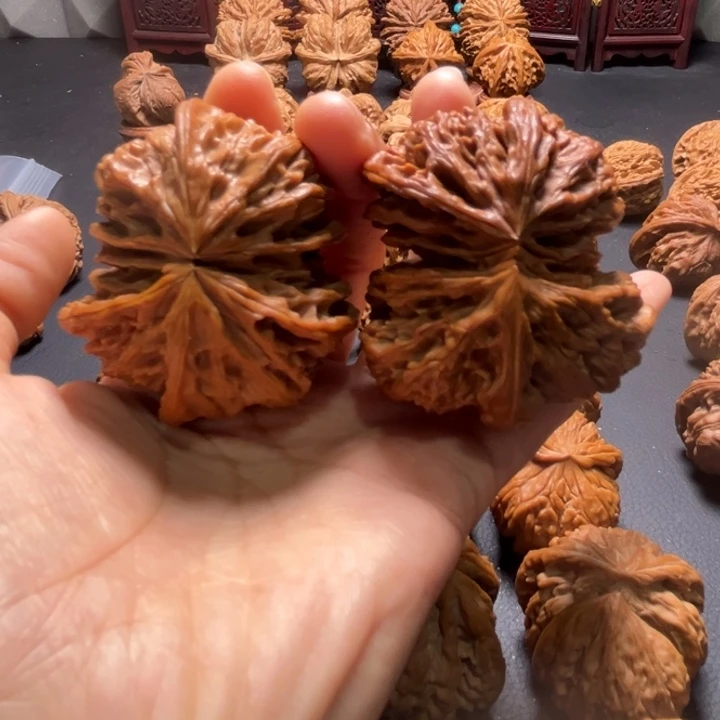 野牛连体52尺寸核桃哈哈哈哈