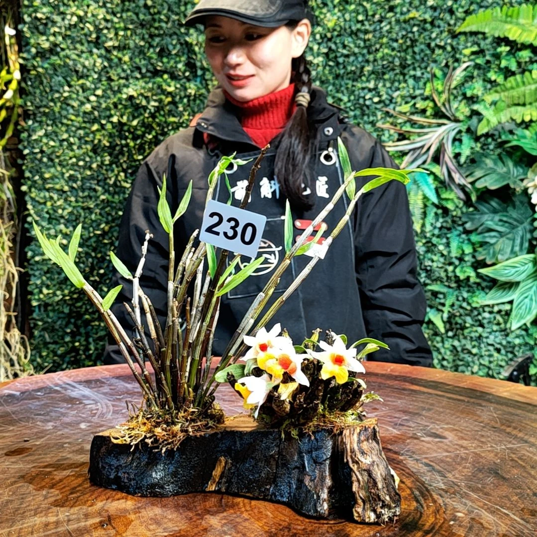 【闪购商品】230铜皮，小美花