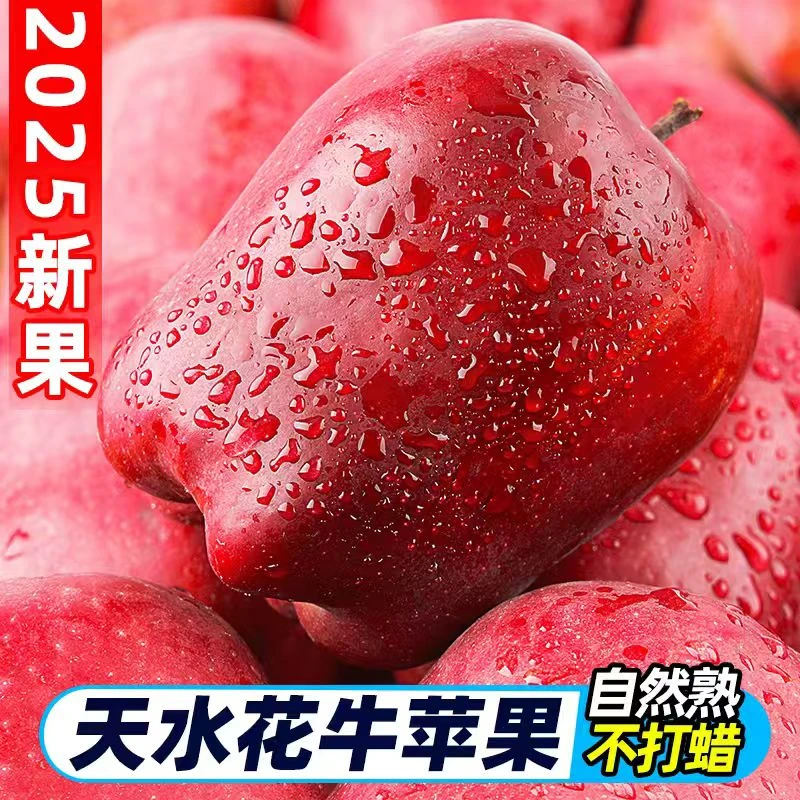【次日到达】正宗甘肃天水花牛苹果 新鲜采摘 粉脆两吃 新鲜水果..甘肃省